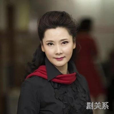 何赛飞