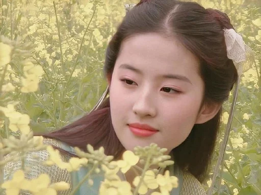 刘亦菲