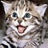 猪儿虫就我一个