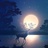 舍昼夜