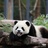 五月的陈海绵