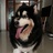 阿兹卡班河马猪